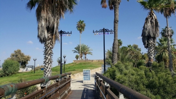 גשר המשאלות- יפו העתיקה