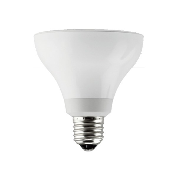 Par 30 short led bulb danor