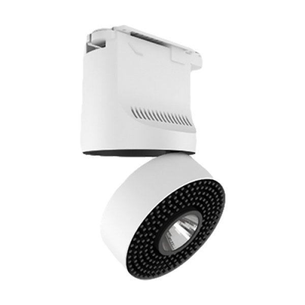 קיפוד- דנאור