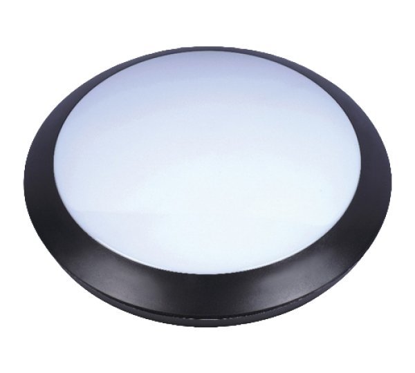 מרגנית עגול דנאור