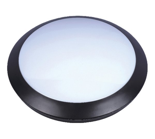 חלמונית 20W דנאור