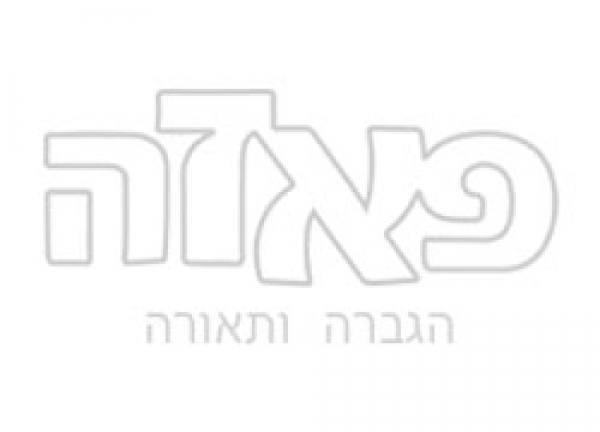 פאזה- הגברה ותאורה